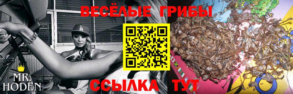 Галлюциногенные грибы мухоморы  Вход с VPN  Люберцы  Псилоцибиновые грибы прущие грибы 