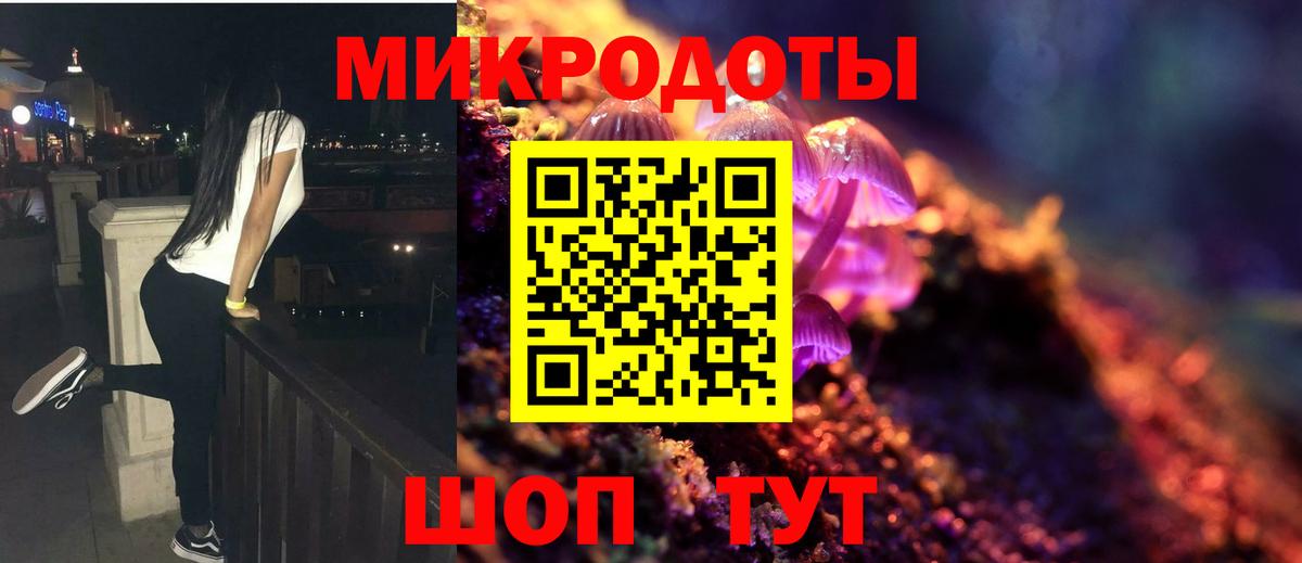 Галлюциногенные грибы Psilocybe Люберцы